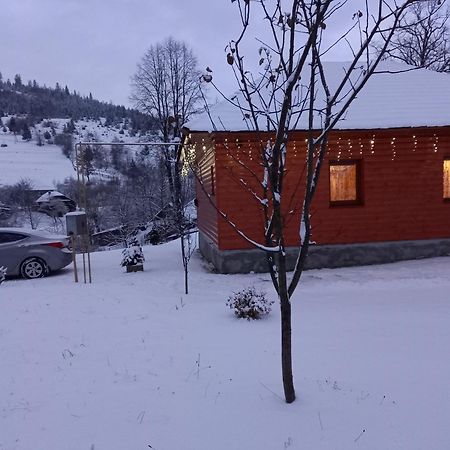 Котедж Затишний відпочинок Гукливый Экстерьер фото