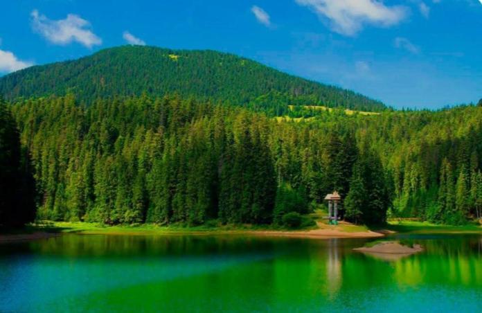 Котедж Затишний відпочинок Гукливый Экстерьер фото